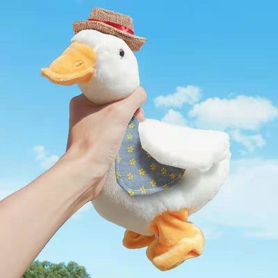 3-6教育Plushおもちゃ月の赤ん坊の