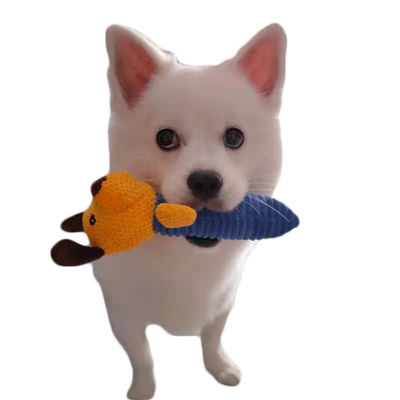 犬の音はPlushおもちゃをかむ抵抗力があるモルに歯が生える柔らかいおもちゃをかわいがる